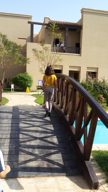holiday inn hotel