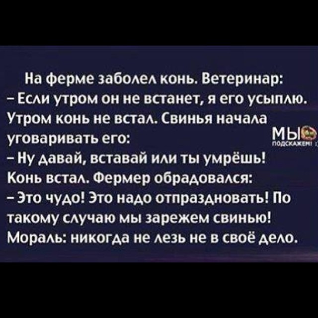 Стырила у С. Лазарева из инстаграмм