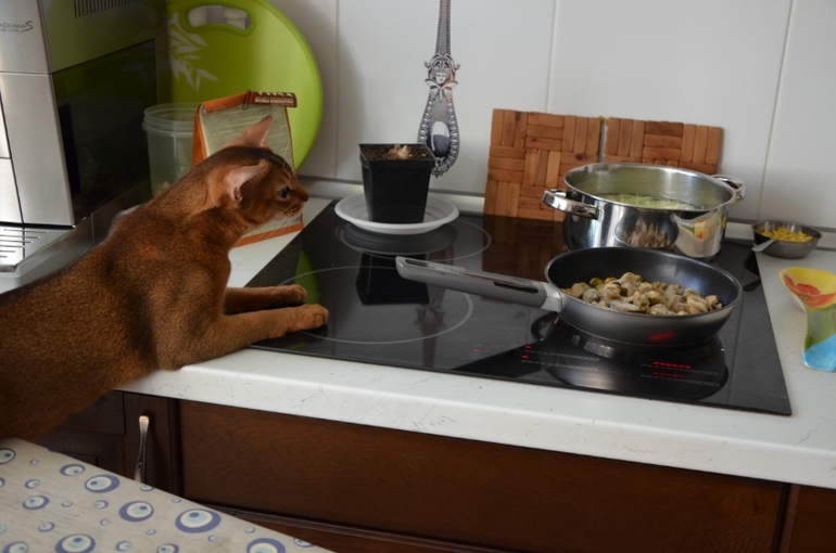 Ожидание завтрака.