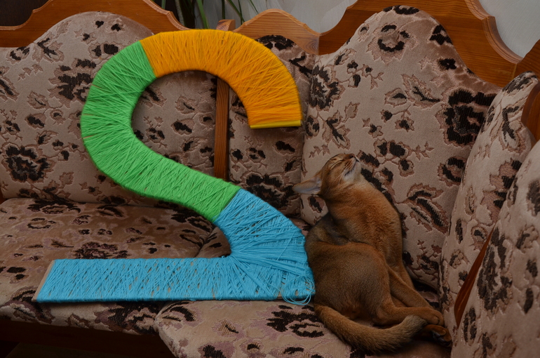 Найти 10 отличий