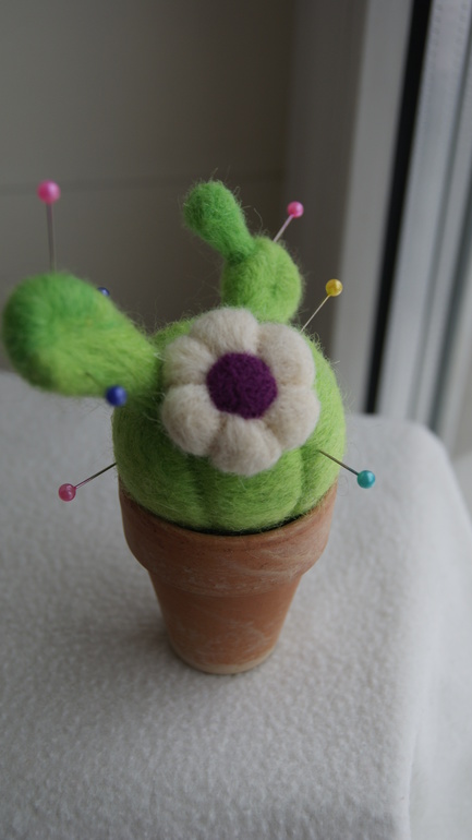 кактусенок)