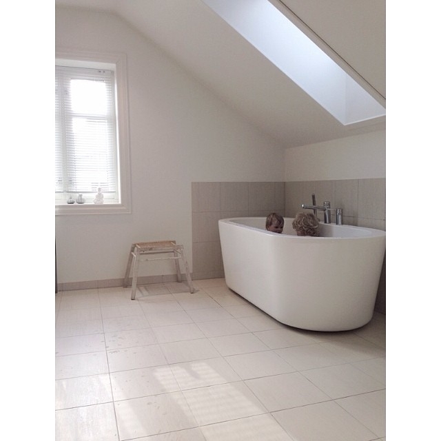 Сканди (@sivasverden)