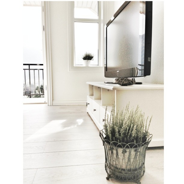 Сканди (@sivasverden)