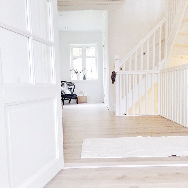 Сканди (@sivasverden)