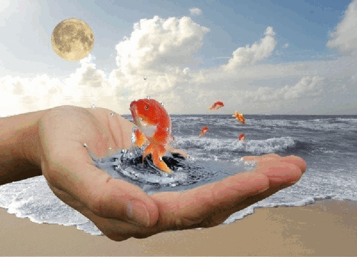 Пусть ваши желания исполняются!