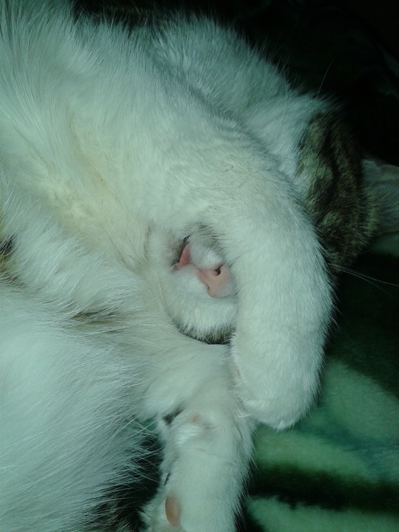 мой уставший мальчик