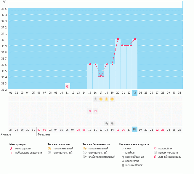 Devochki kogda ge ovulazia?