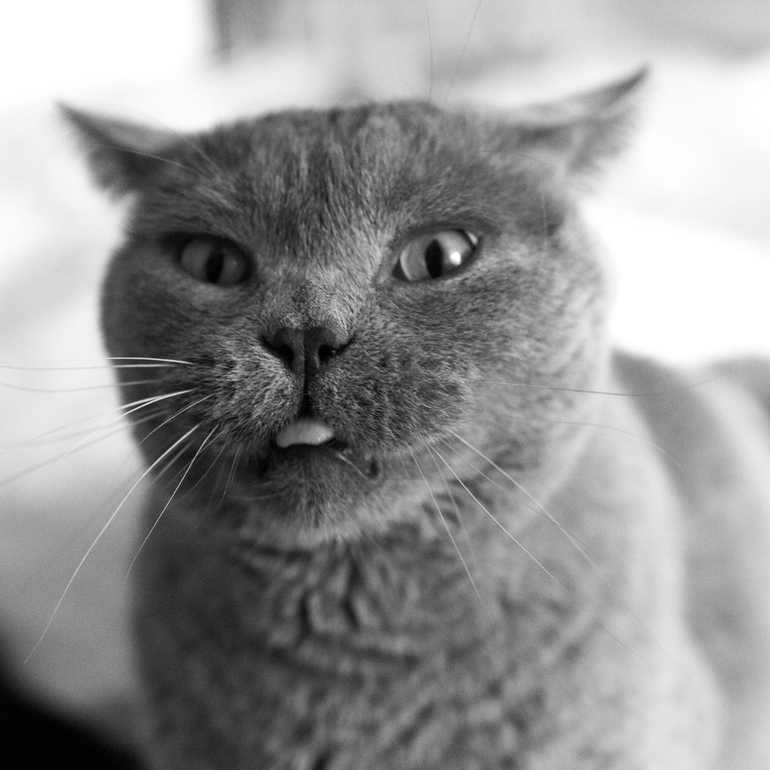 Как я не хотел фотографироваться