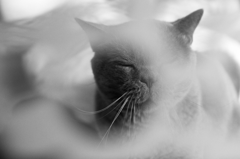 Как я не хотел фотографироваться