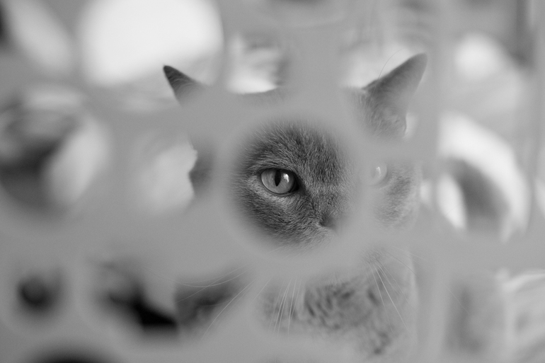 Как я не хотел фотографироваться