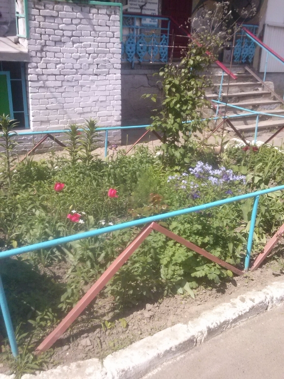 Скоро лето)))