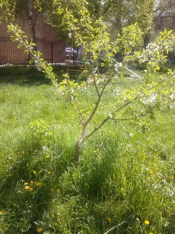 Делюсь теплом весенним:)