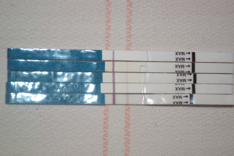 Мои новости с полей!