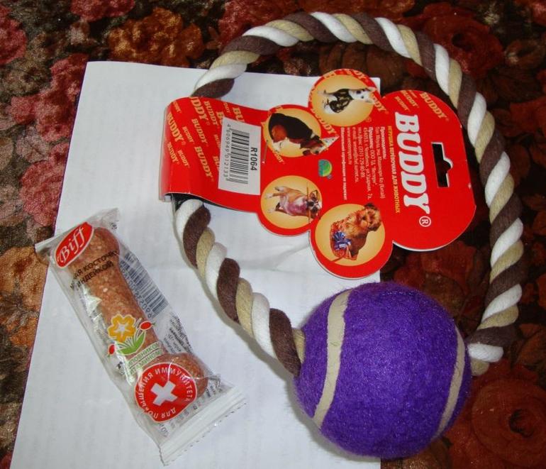 30 апреля День Киндера