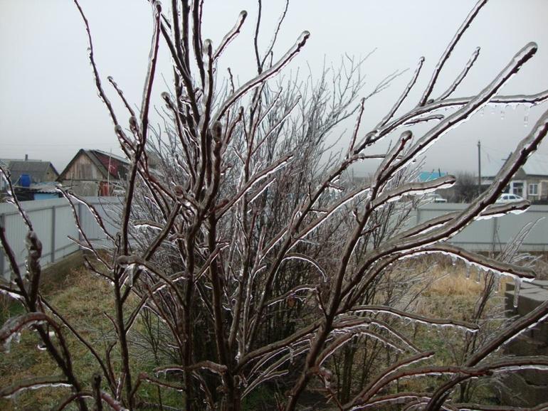 Кубанская зима продолжение