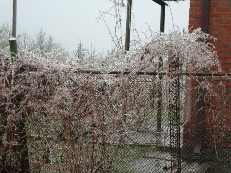 Кубанская зима продолжение