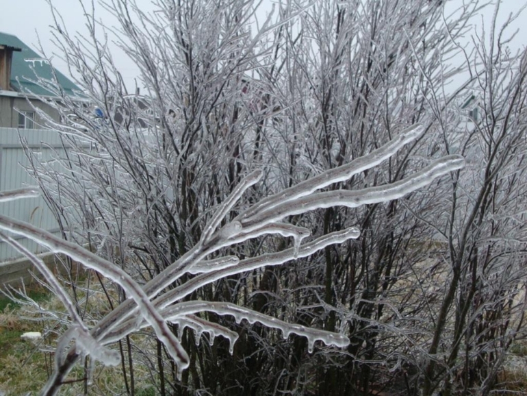 Кубанская зима продолжение