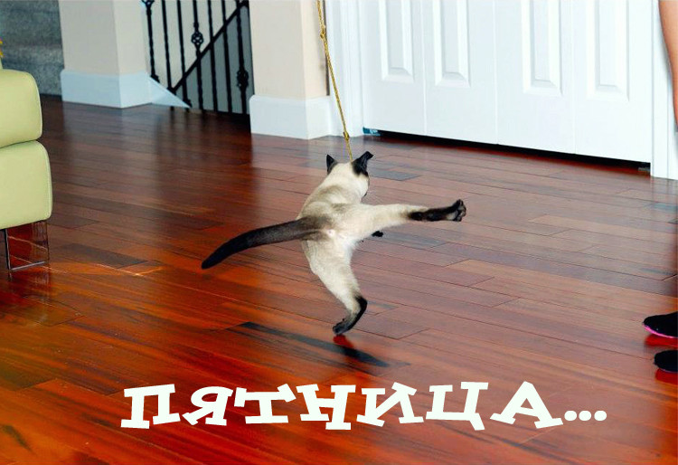 Ура! Пятница! :)