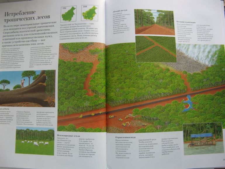 Большая книга о лесах и деревьях