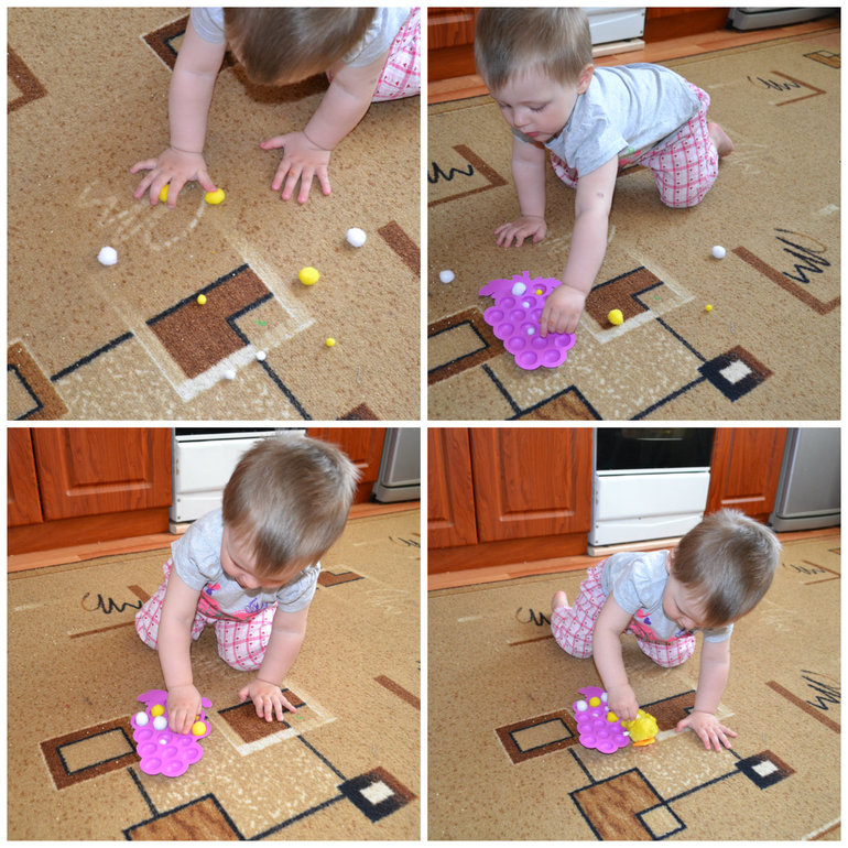 ТЗ Курица, петух, цыпленок