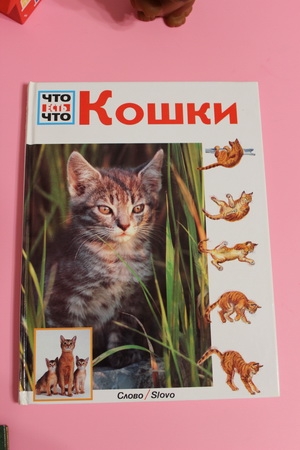 ..юдб