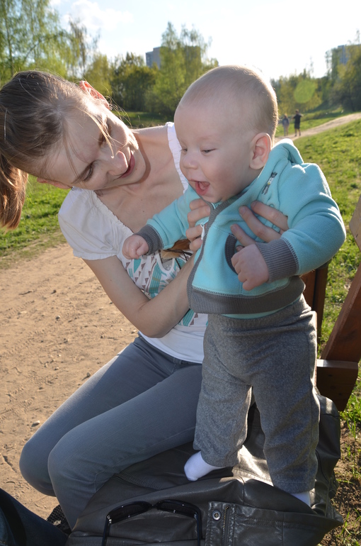 Полугодовасие