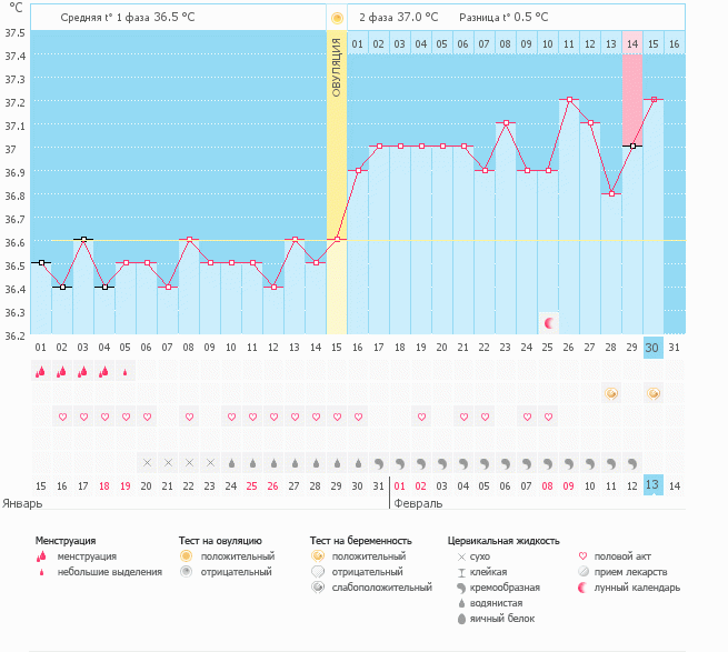 Сбылась заветная мечта!!!!!