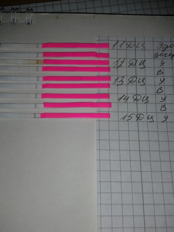 Кхм..Нужна помощ..