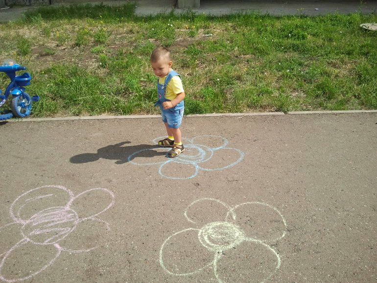 день 1 ТН "Насекомые"  -  бабочка