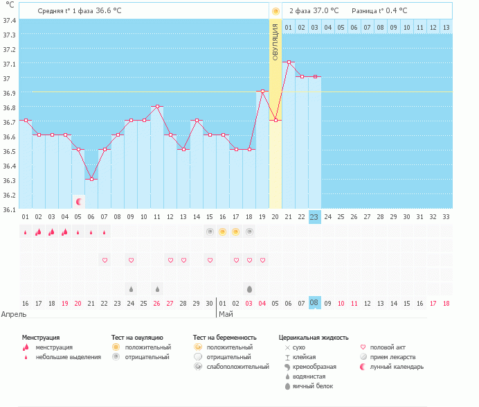 Овуляция и график