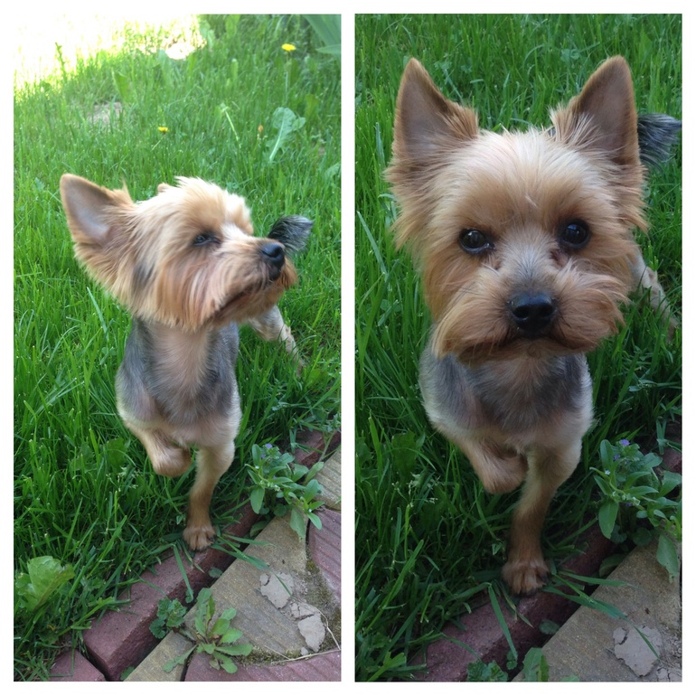 Леве 4, маме 324)