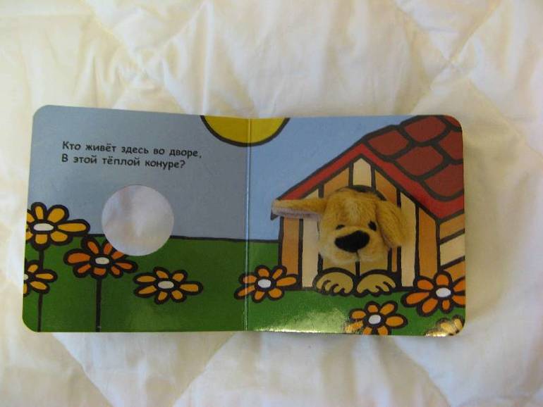 Как мы поживаем, ума-разума наживаем…