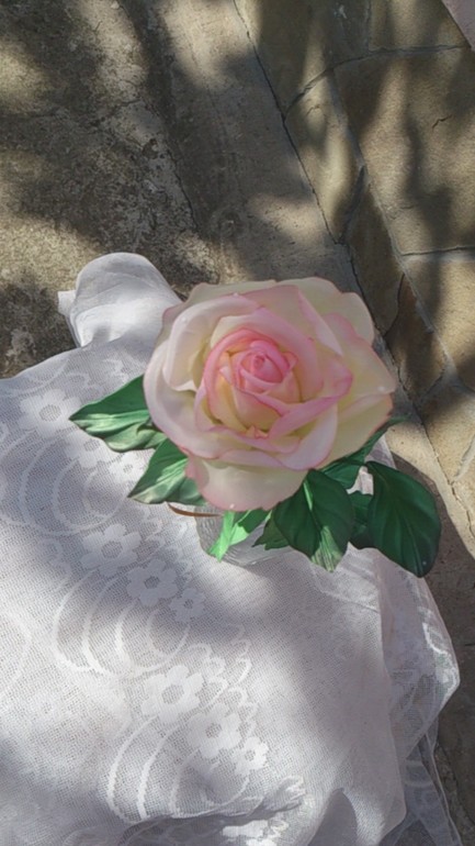 Крымская роза