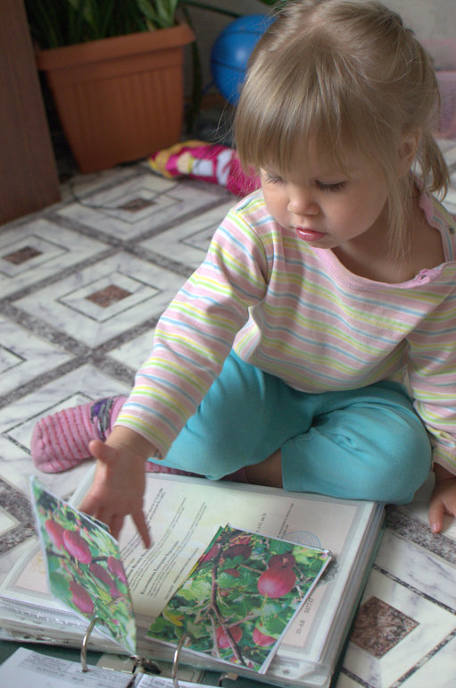 ТН Ягоды. Крыжовник