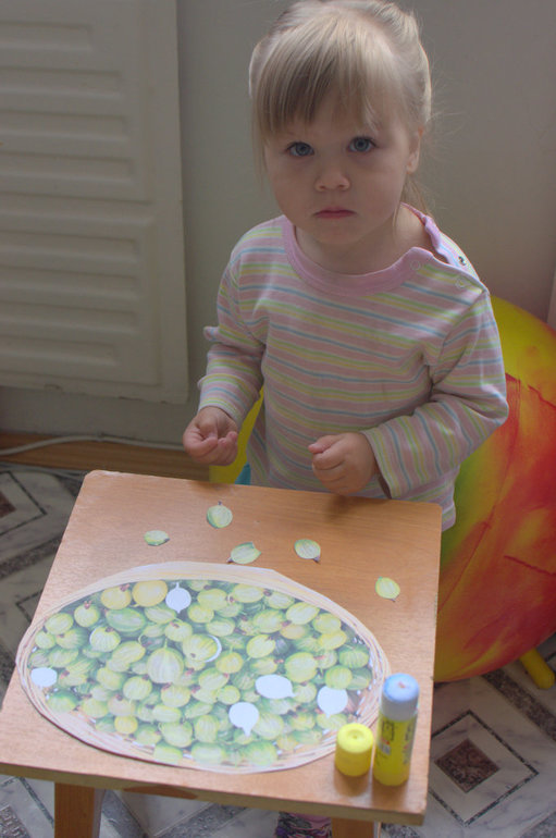 ТН Ягоды. Крыжовник