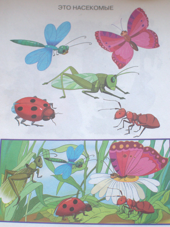 ТЗ "На балу у сверчка"