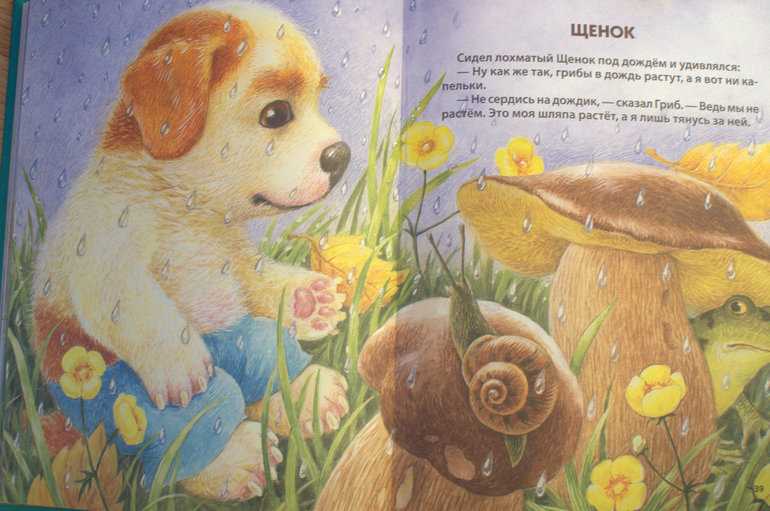 Библиотечный улов