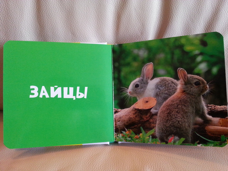 Воз и маленькая тележка. Часть 2.