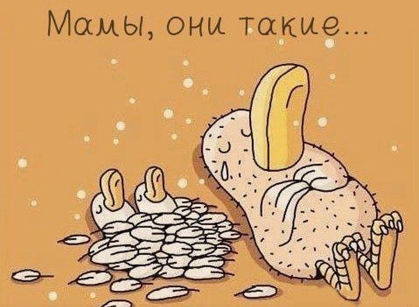 )))))