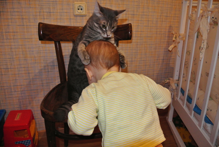 С возвращением нас!