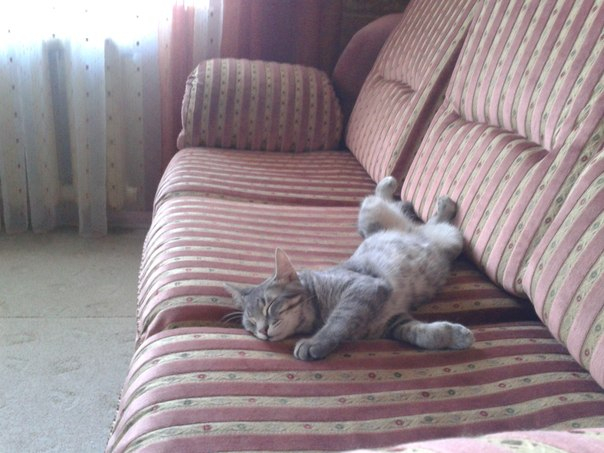 С возвращением нас!