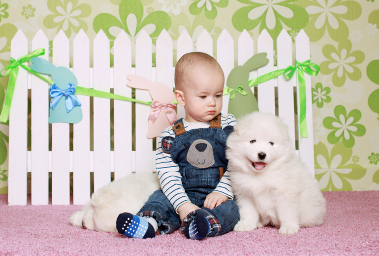 Долгожданные фото с щенками