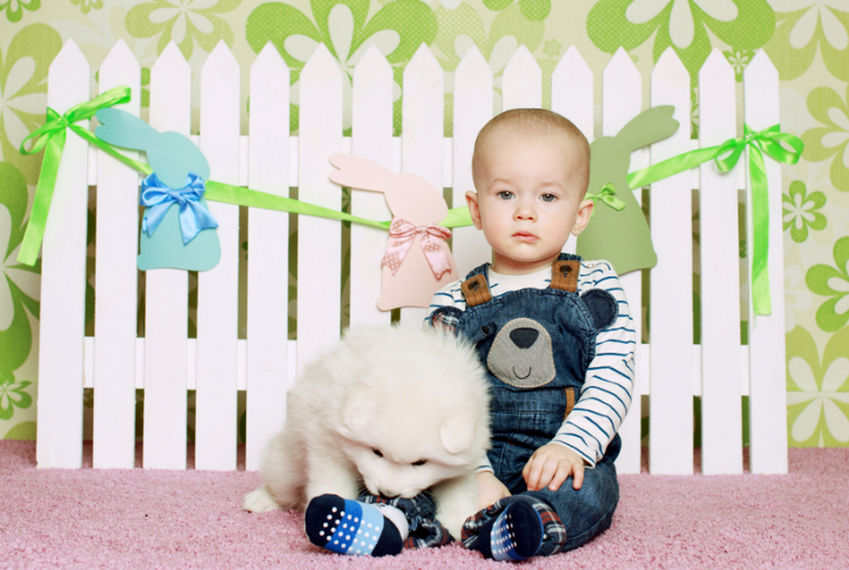 Долгожданные фото с щенками