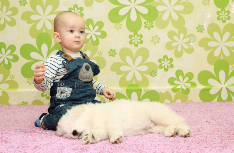 Долгожданные фото с щенками