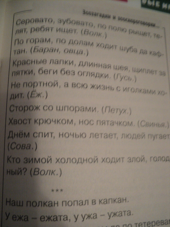 Веселые и полезные игры для малышей!!!