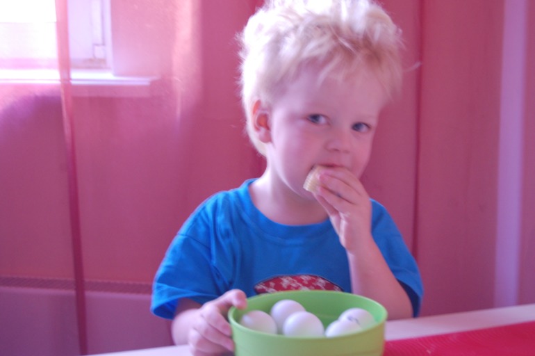 Немного прошлогодних фотографий...