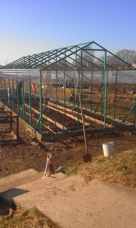 Наша теплица