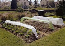 садово-огородный марафон день 9