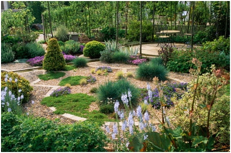 садово-огородный марафон день 10