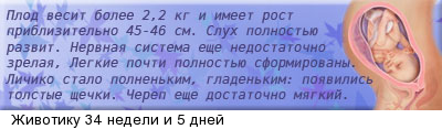 Уже почти 35 неделек!!!Совсем выросли!!